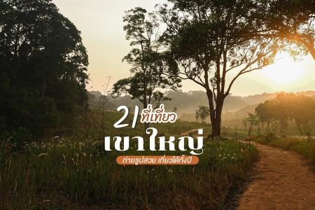 21 ที่เที่ยวเขาใหญ่ 2569 เปิดใหม่ ถ่ายรูปสวย ชมธรรมชาติ เด็ก ผู้สูงอายุ เที่ยวแบบครอบครัว