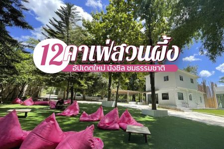 12 คาเฟ่สวนผึ้ง 2569 คาเฟ่เปิดใหม่ ร้านกาแฟ นั่งชิล ชมธรรมชาติ