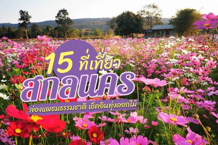 15 ที่เที่ยวสกลนคร 2569 จุคเช็คอิน ธรรมชาติ น้ำตก ภูเขา วัด คาเฟ่ ทุ่งดอกไม้