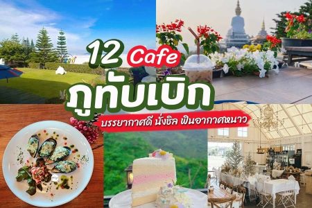 12 คาเฟ่ภูทับเบิก 2569 คาเฟ่เปิดใหม่วิวทะเลหมอก ถ่ายรูปสวย