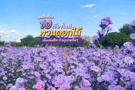 10 สวนดอกไม้เชียงใหม่ 2569 แม่ริม แม่แตง ม่อนแจ่ม สวนดอกไม้สวยๆ เปิดใหม่ ห้ามพลาด