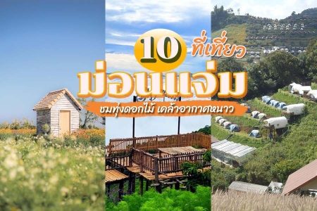 10 ที่เที่ยวม่อนแจ่ม 2569 ชมทุ่งดอกไม้ ดื่มด่ำอากาศหนาว