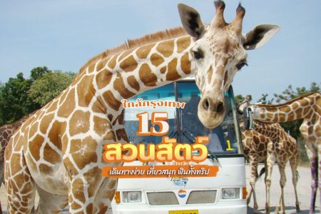 15 สวนสัตว์ใกล้กรุงเทพ 2569 ที่เที่ยวเด็ก สำหรับครอบครัว พาลูกเที่ยว เดินทางง่าย
