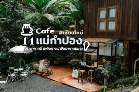 14 คาเฟ่แม่กำปอง 2569 บรรยากาศดี นั่งจิบกาแฟ ฟินอากาศกลางหุบเขา