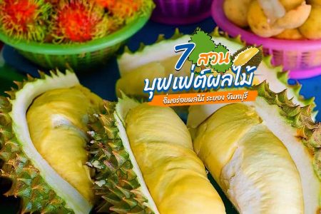 7 บุฟเฟ่ต์ผลไม้ ระยอง จันทบุรี 2569 สวนผลไม้ อร่อยไม่อั้นกับผลไม้หลากหลายชนิด