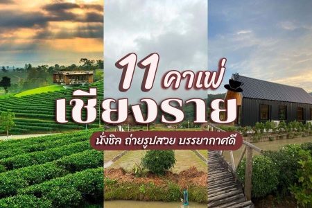 11 คาเฟ่เชียงราย 2569 ถ่ายรูปสวย บรรยากาศดี นั่งชิลไม่มีเบื่อ