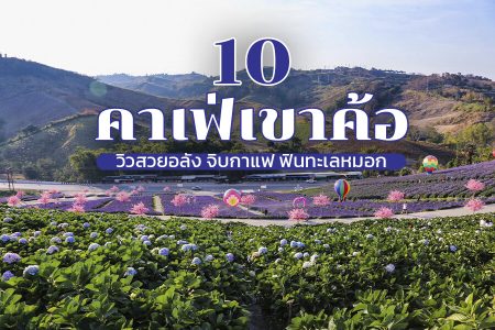 10 คาเฟ่เขาค้อ 2569 คาเฟ่ลับ เปิดใหม่ ฟินทะเลหมอก