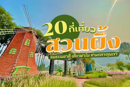 20 ที่เที่ยวสวนผึ้ง 2569 เที่ยวธรรมชาติ ฟาร์ม น้ำตก บรรยากาศดี เหมือนไปต่างประเทศ