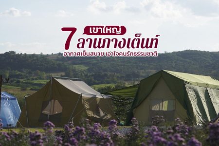 7 ลานกางเต็นท์เขาใหญ่ 2569 อากาศเย็นสบาย เอาใจคนรักธรรมชาติ