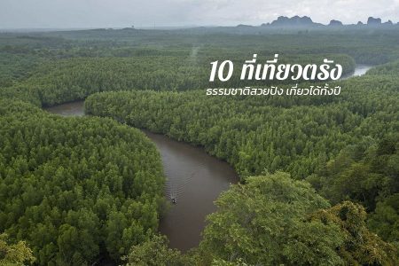 10 ที่เที่ยวตรัง 2569 เที่ยวทะเลตรัง ที่เที่ยวตรังในเมือง เที่ยวได้ทั้งปี